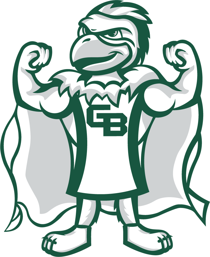 Wisconsin-Green Bay Phoenix 2020-Pres Mascot Logo v5 diy DTF decal sticker